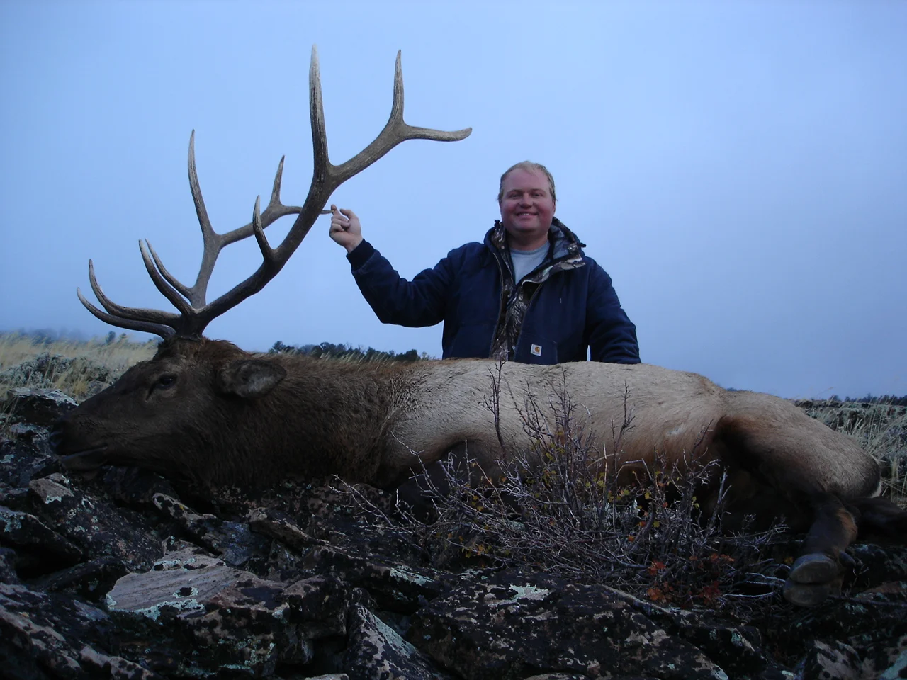 Jason's bull 005.JPG