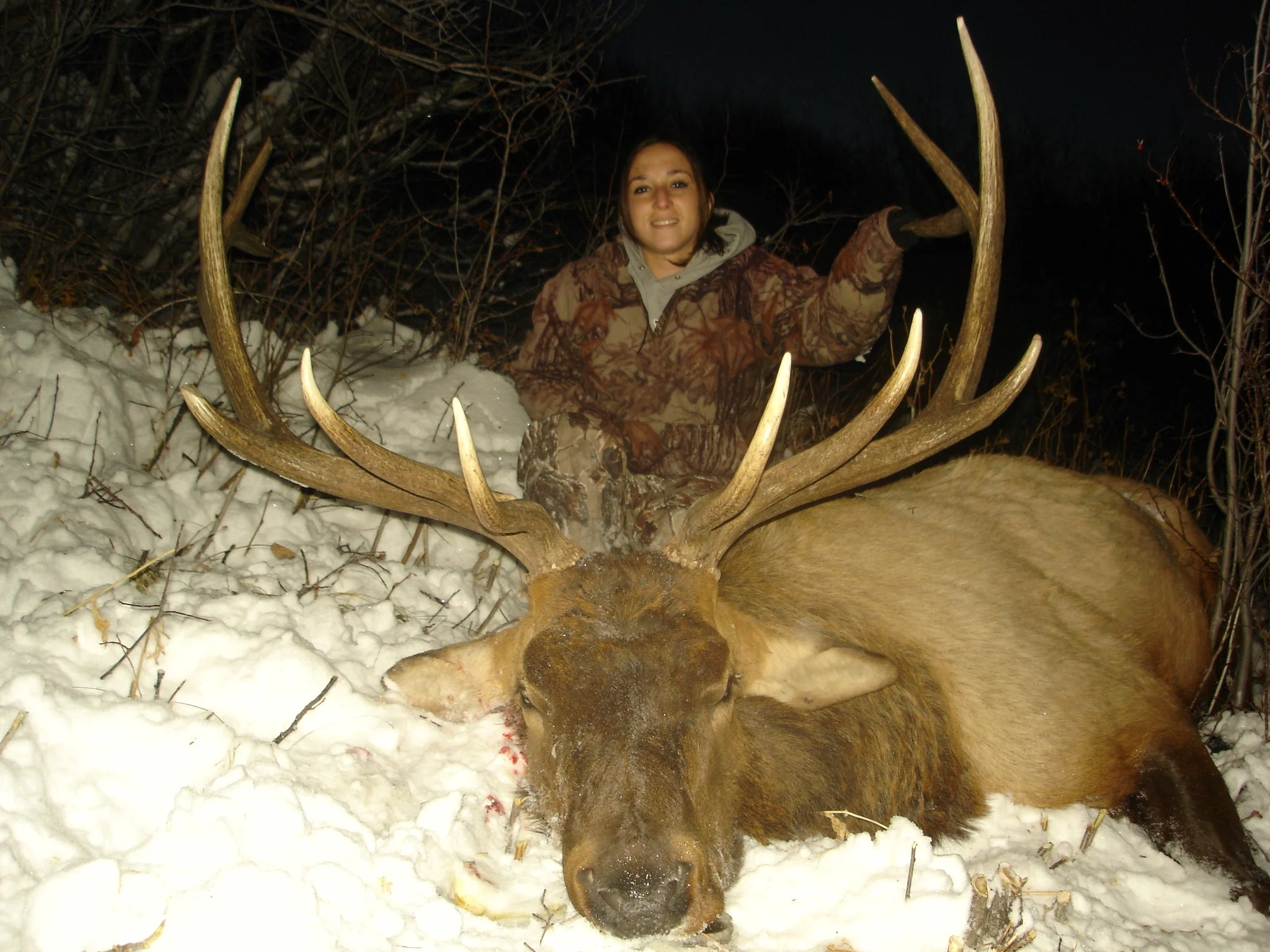 Amy's elk 2011 002.JPG