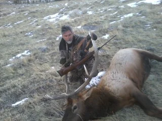 Mike's elk 2011.jpg