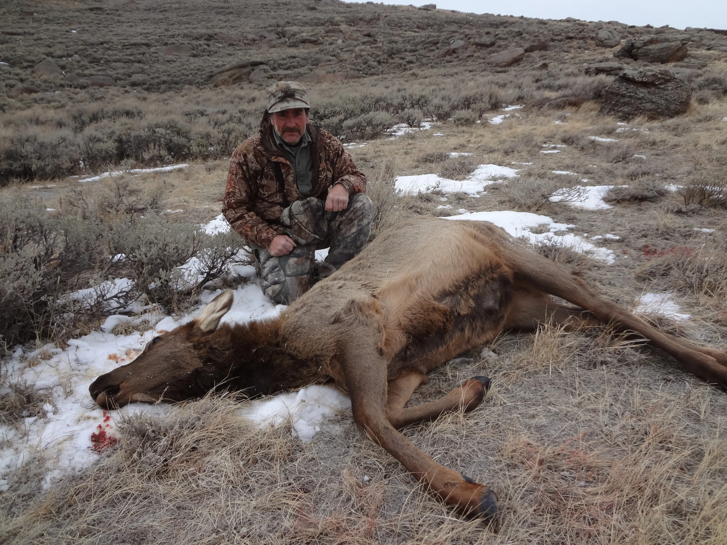 Late season 2012 007.JPG