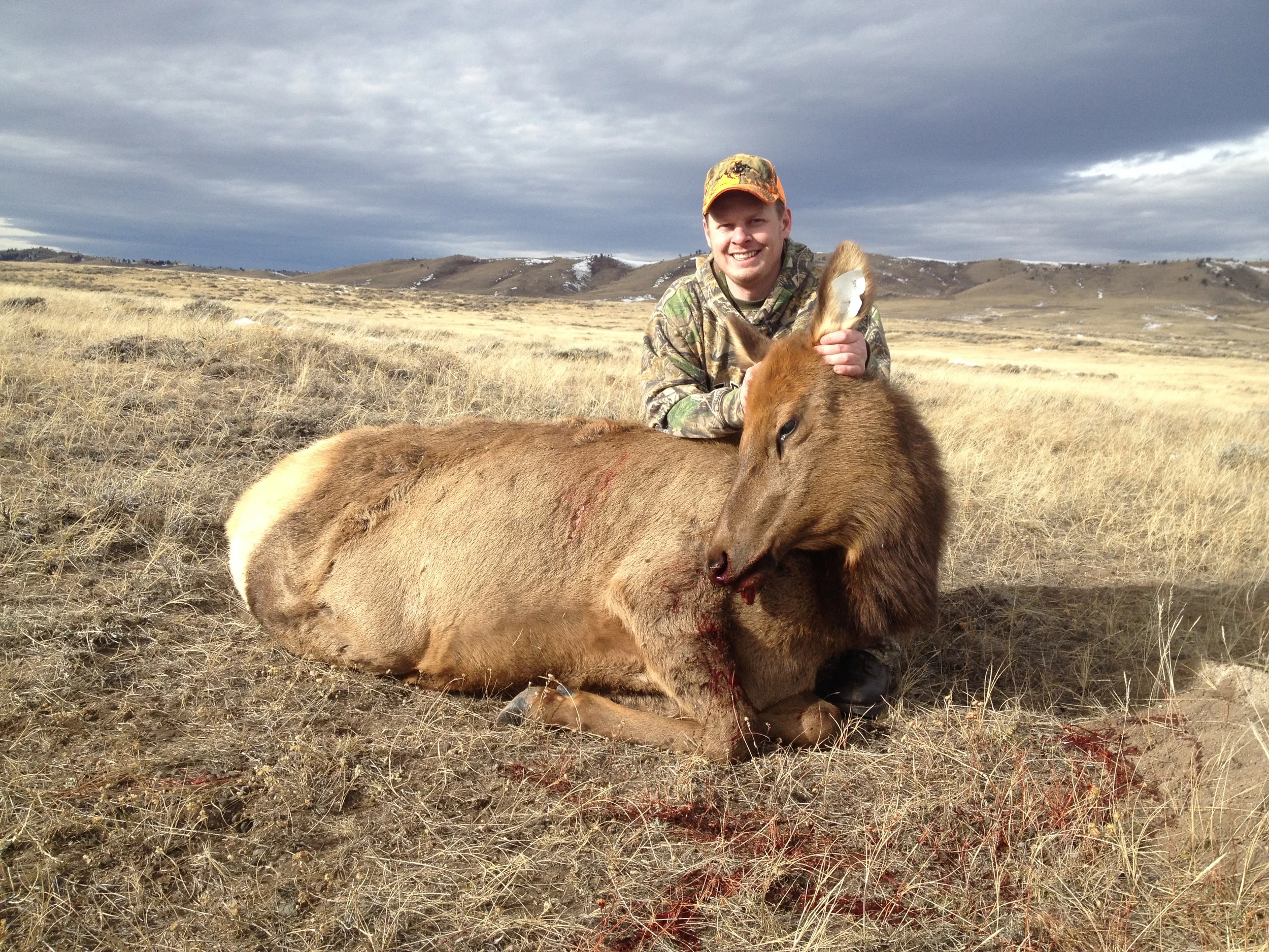 elk2.jpg