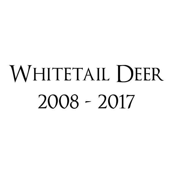whiteTailDeer.png