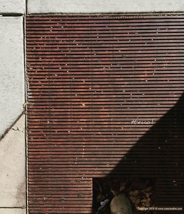 Beautifully aged #steelgrating on college ave. protecting the city greens 💚..💚
.⠀
.⠀
.⠀
#hiddenhello #hiddenhellos #hidden_hellos #bycatarinakim #findingbeautyintheoverlooked #journeytoself #catarinakim #berkeley #collegeave #steelgrating #treeprot