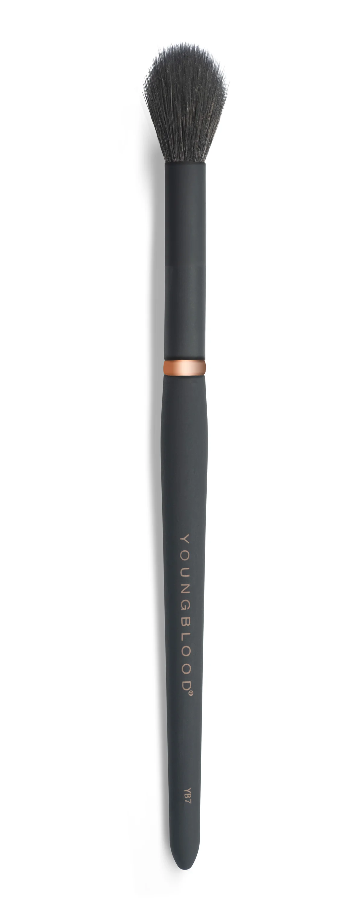 YB7 Highlight Brush.jpg