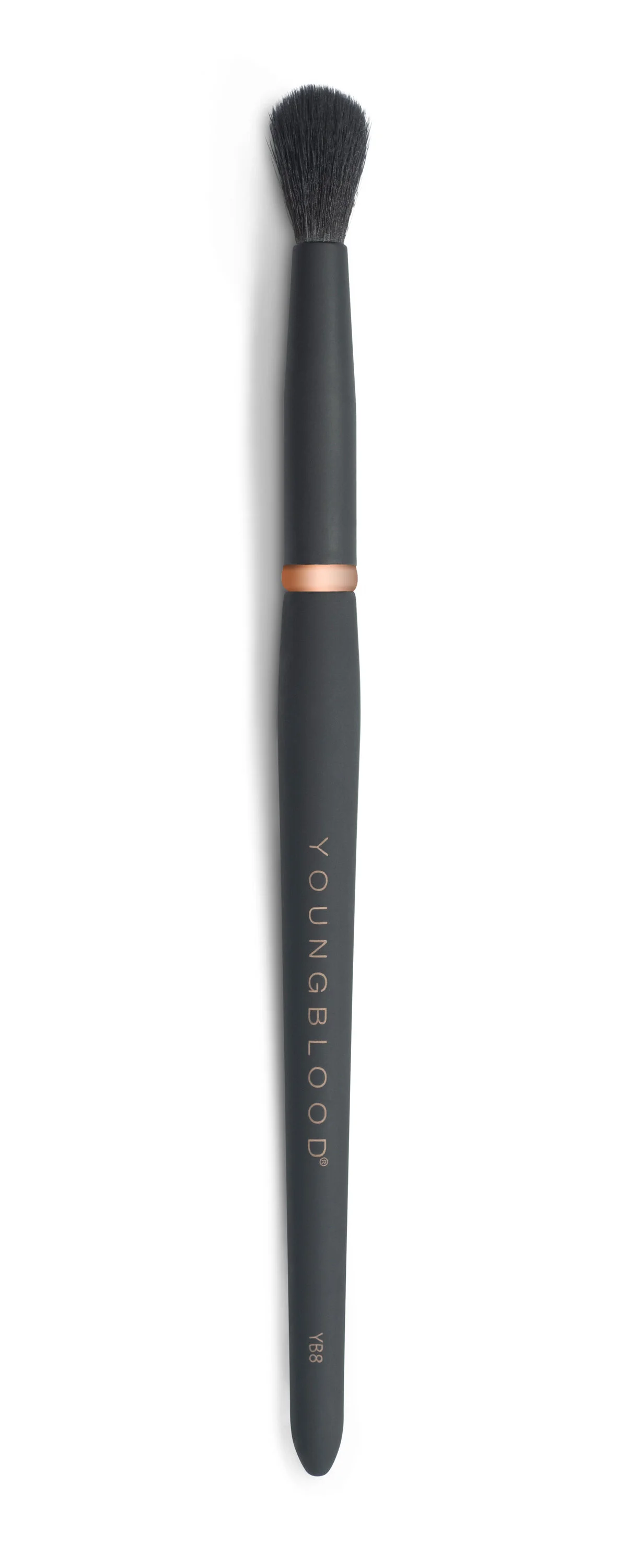 YB8 Tapered Blending Brush.jpg