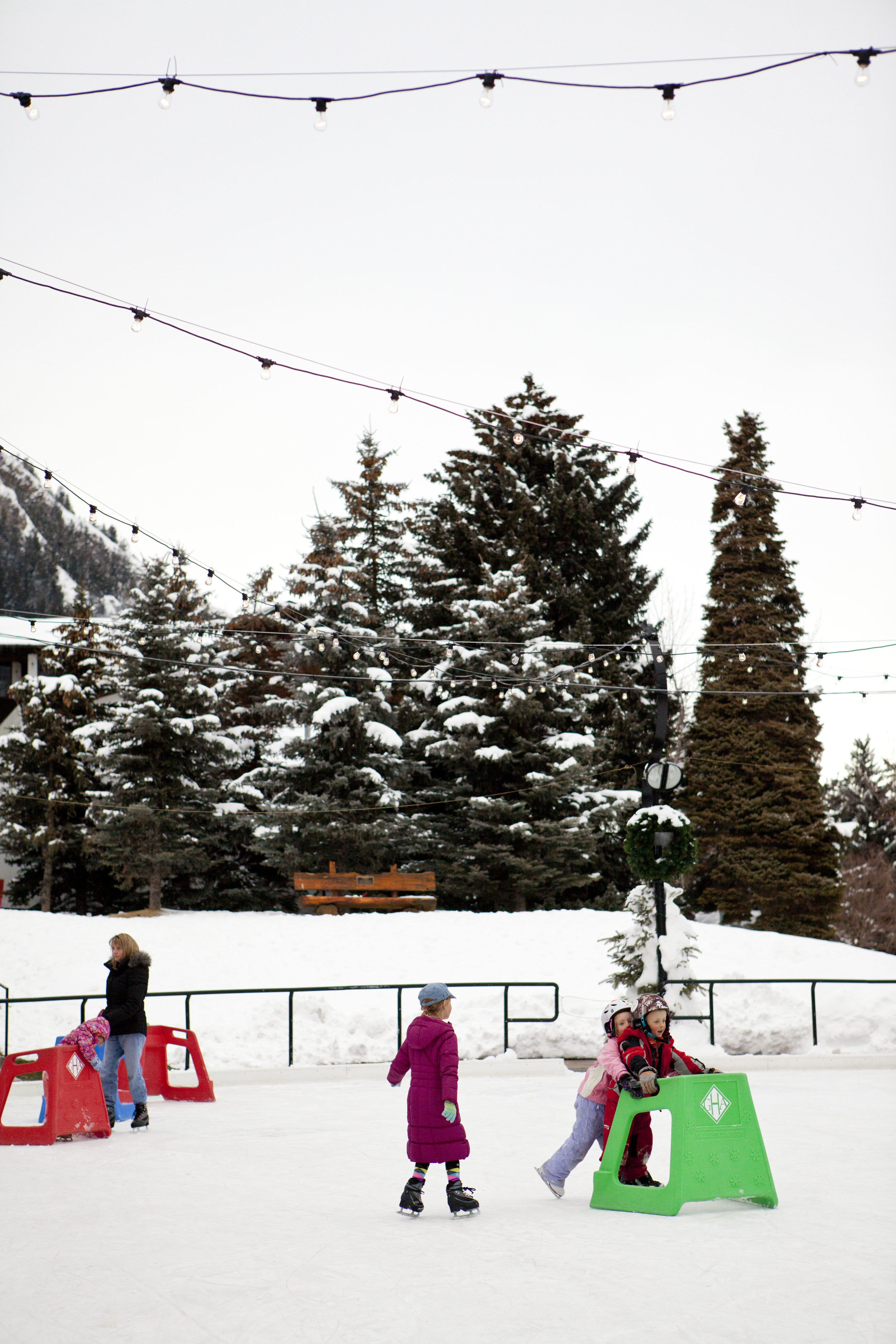 _MG_2409_MG_2409.jpg