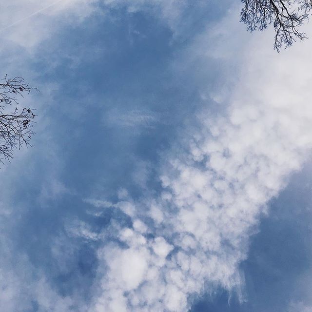 G A T H E R |  Clouds always fascinate me. This looks like a procession to some exciting gathering. Do clouds have concerts? Maybe they are learning a new dance. Or perhaps they are making plans on what sort of sunset we should all have. 🤔⠀
☁️⠀
Tell