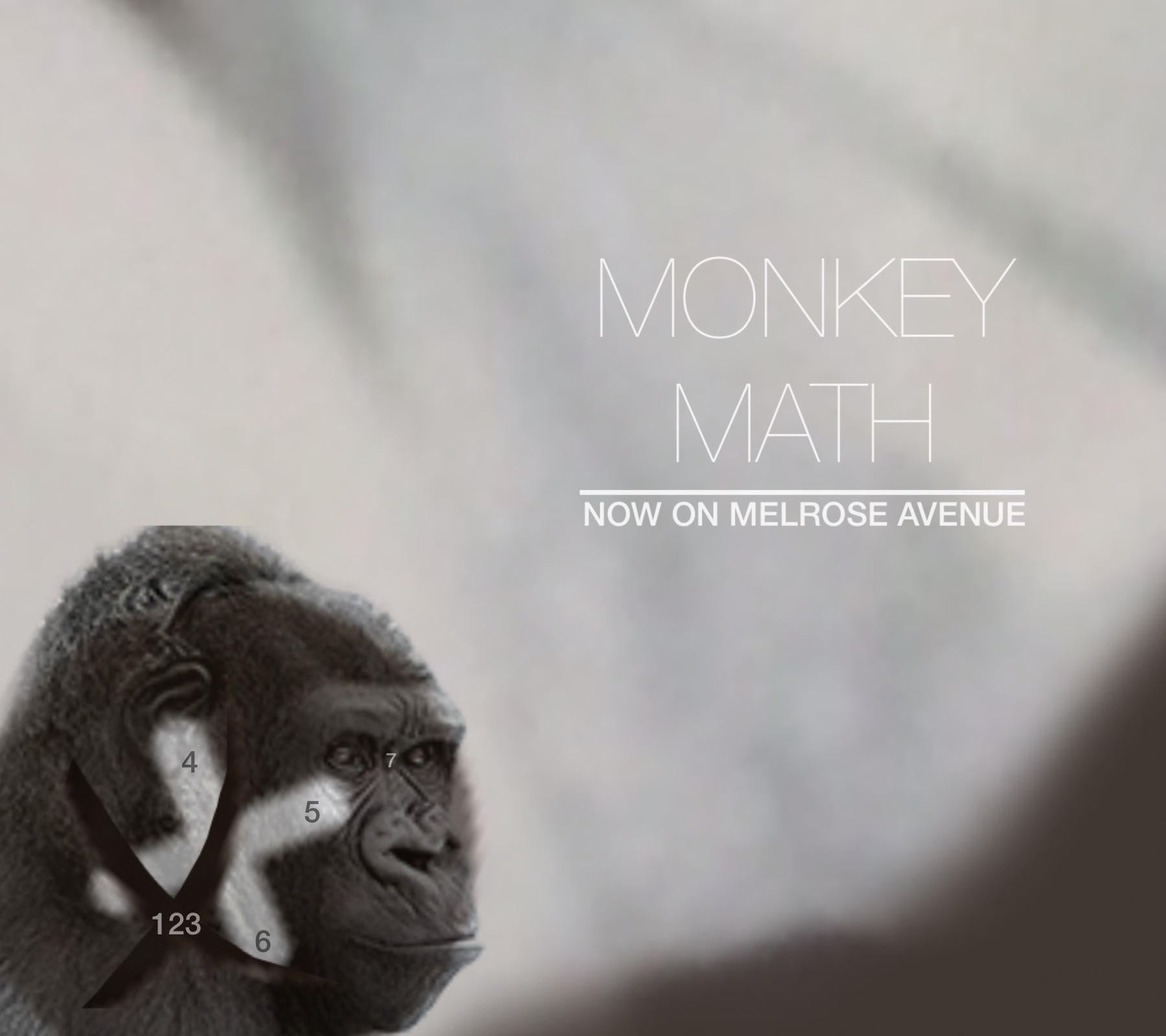 MONKEY MATH IS NOW ON MELROSE