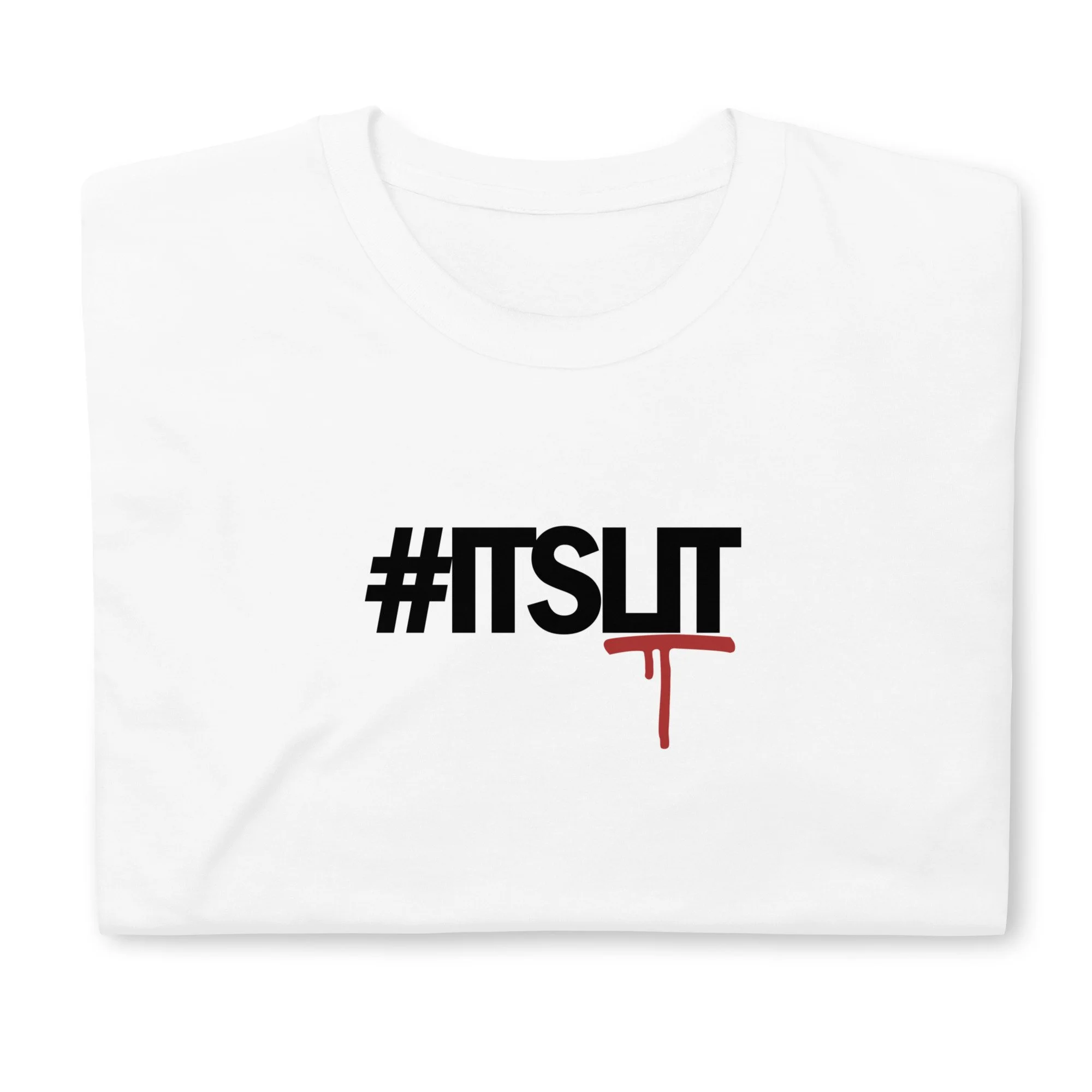 unisex-basic-softstyle-t-shirt-white-front-66ee2bc08b900.jpg