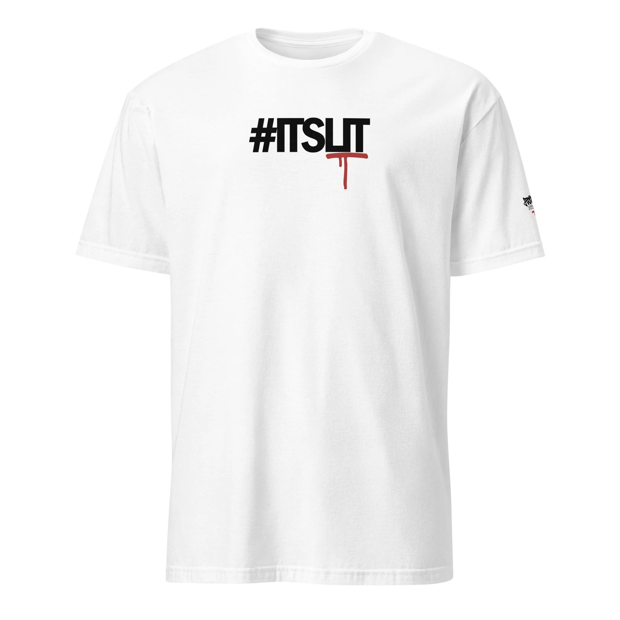 unisex-basic-softstyle-t-shirt-white-front-66ee2bc08cb99.jpg