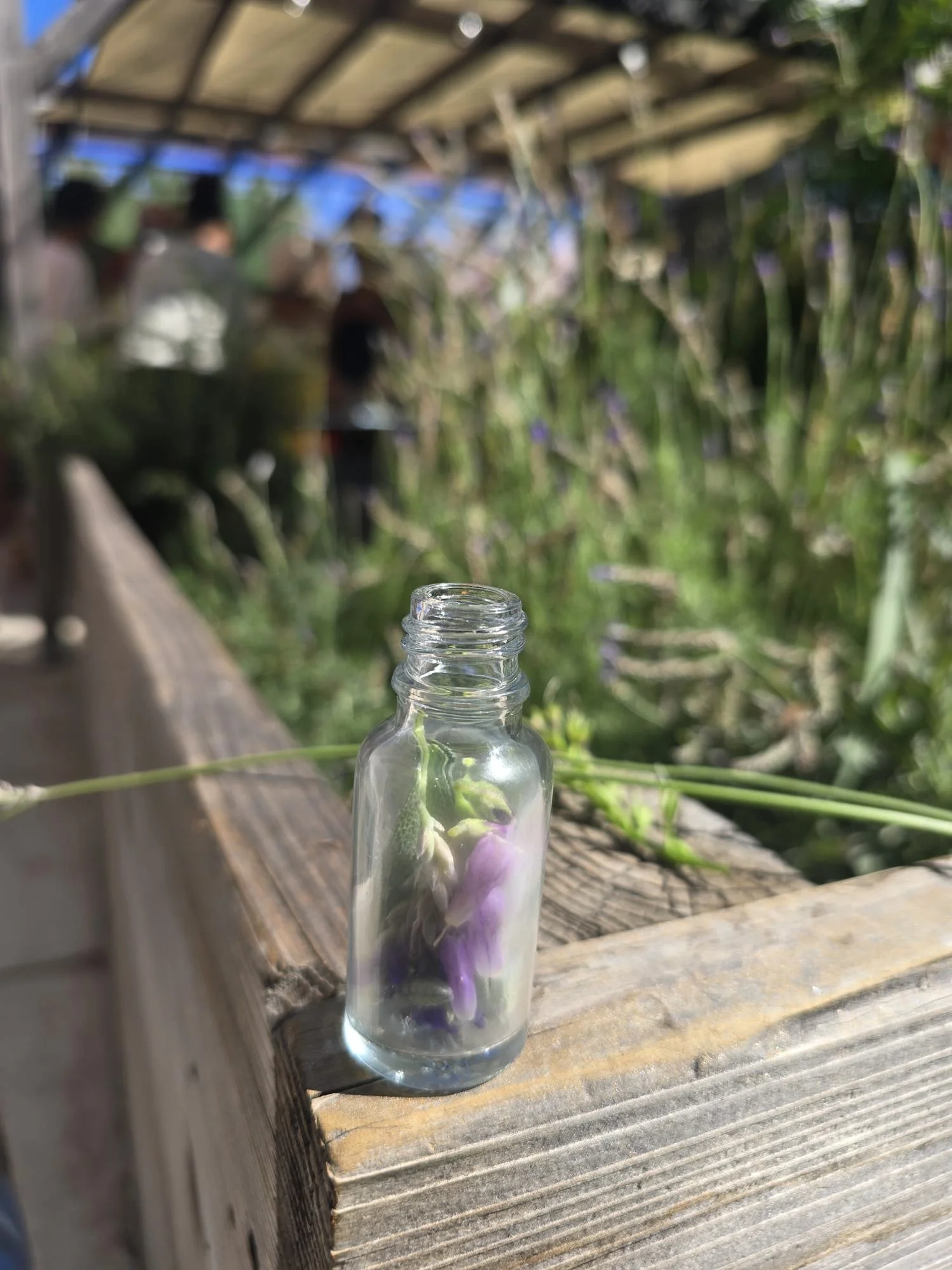 Black ASH Lab in South LA