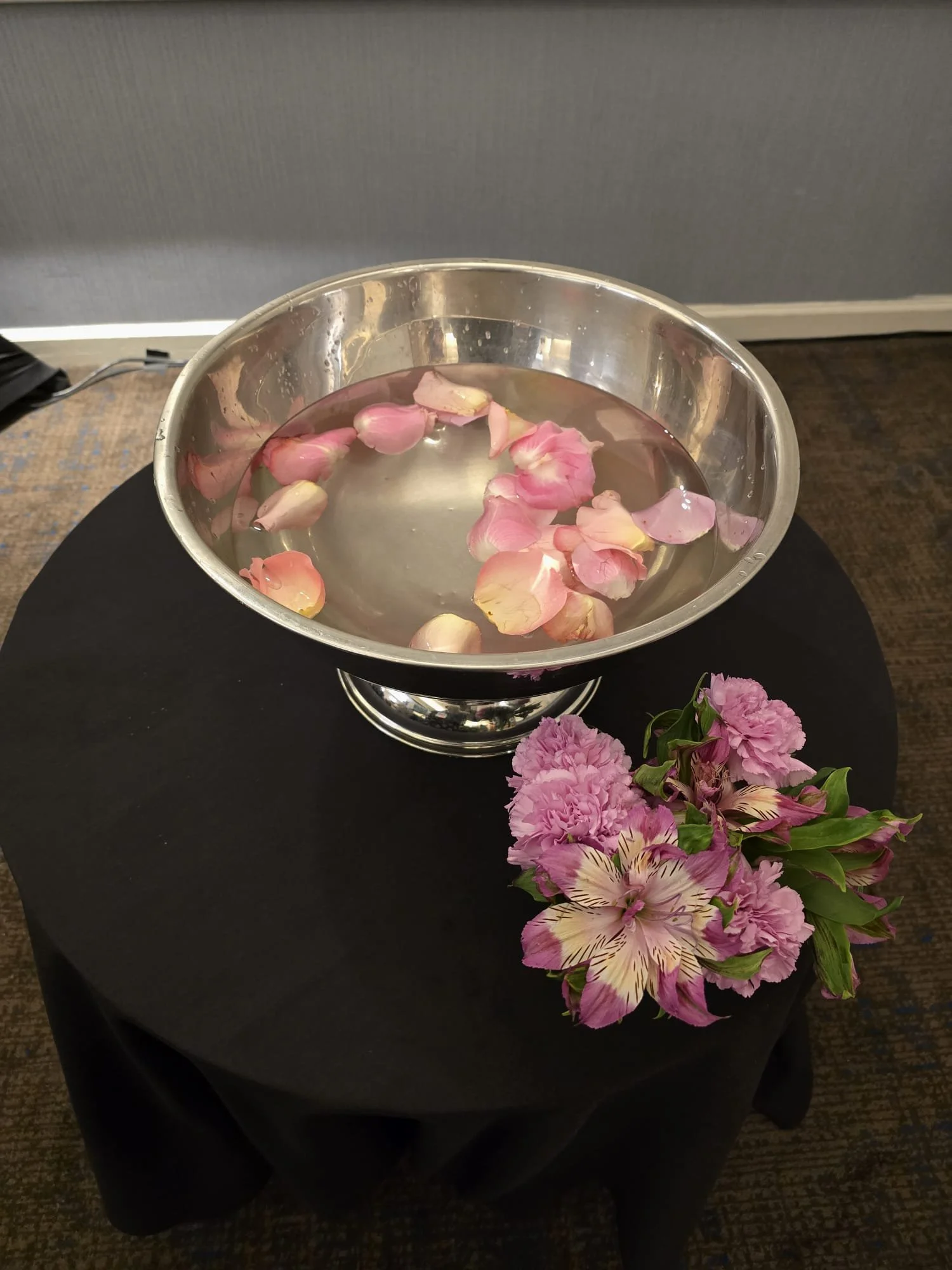 Black ASH Lab in Oregon