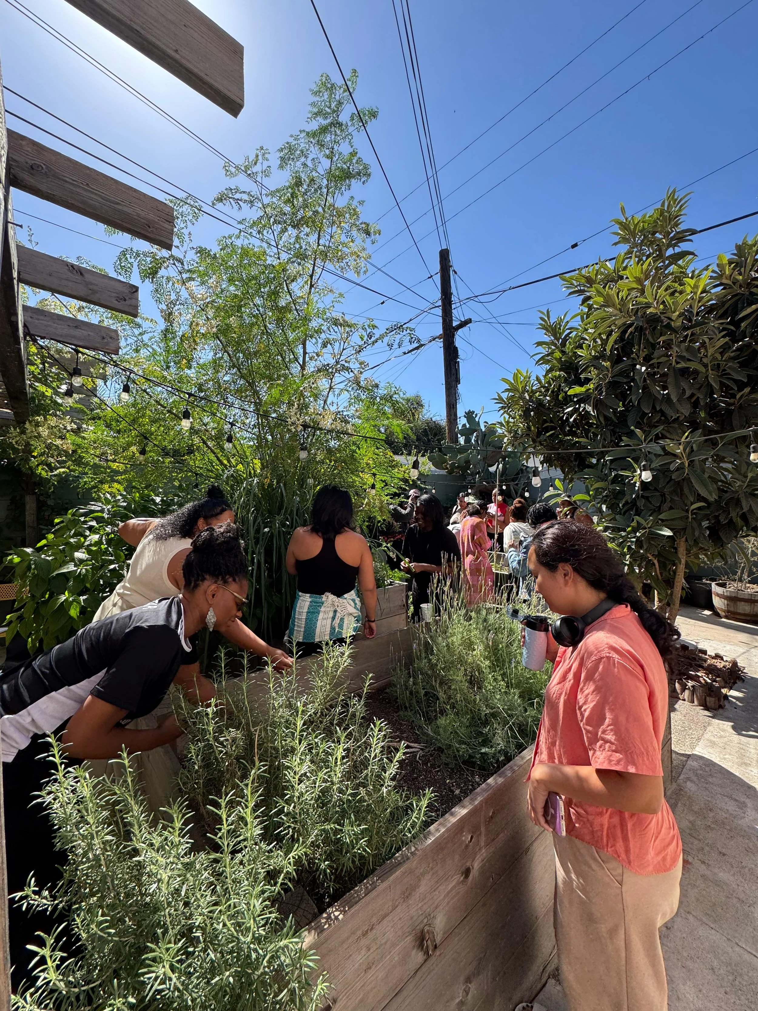 Black ASH Lab in South LA