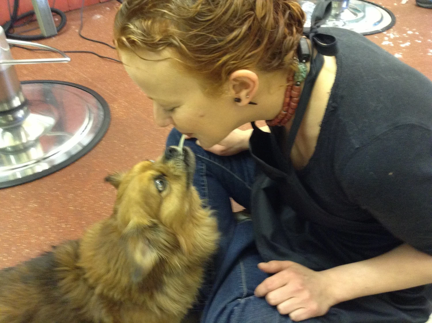 Grooming Gallery — Turquoise Tails