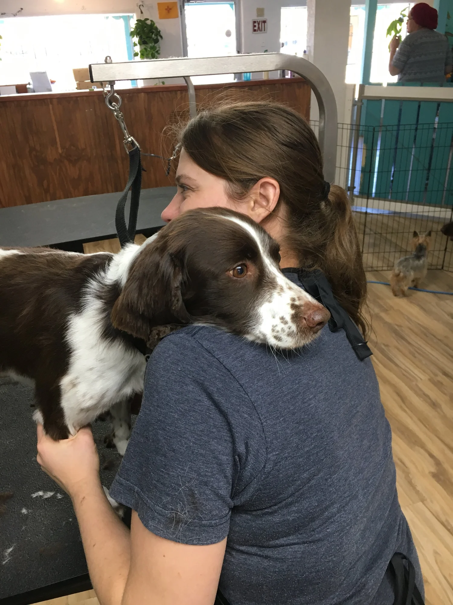 Grooming Gallery — Turquoise Tails