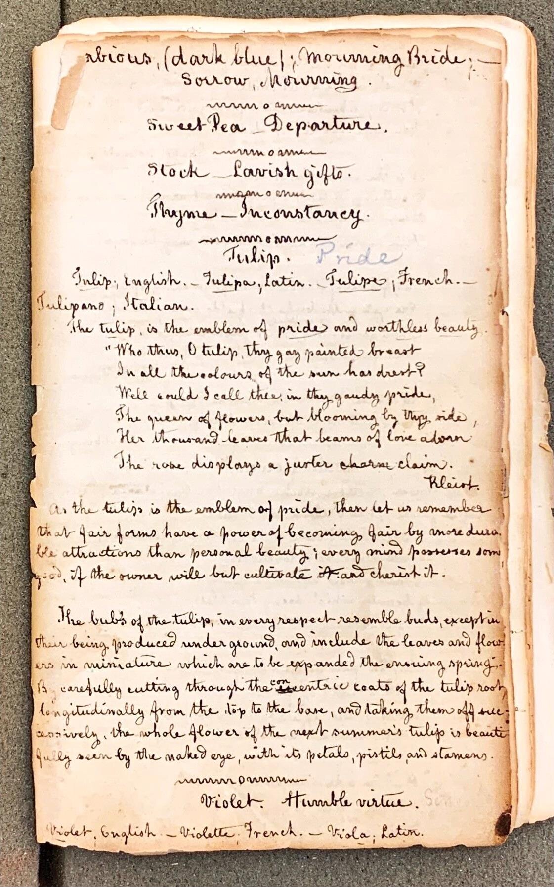 University of Virginia student notebooks (~1800)
