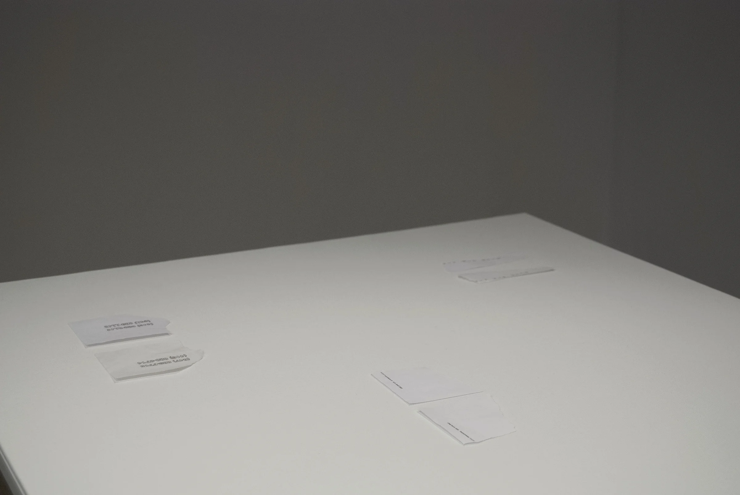 Special Projects Gallery, York University, April 25–30, 2016
