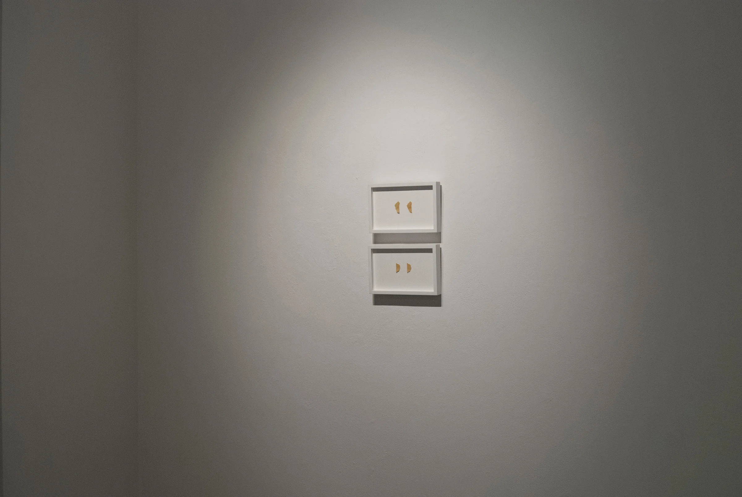 Special Projects Gallery, York University, April 25–30, 2016