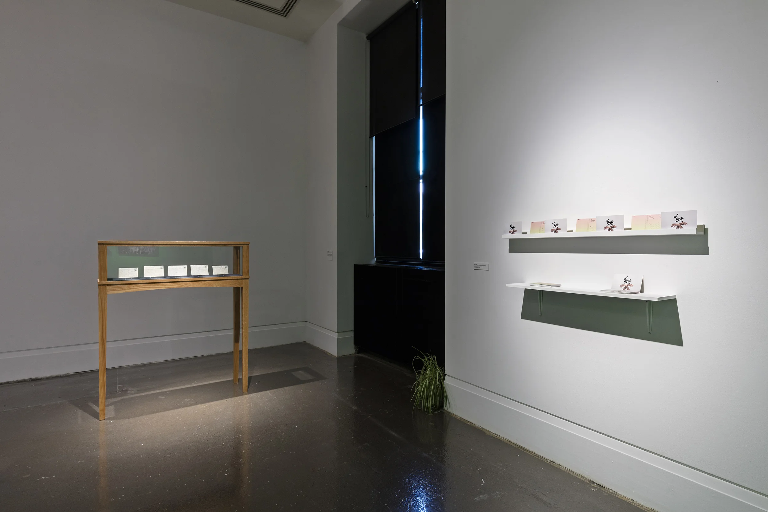 Canadian Belonging(s) Art Gallery of Mississauga May 5 - July 3, 2016