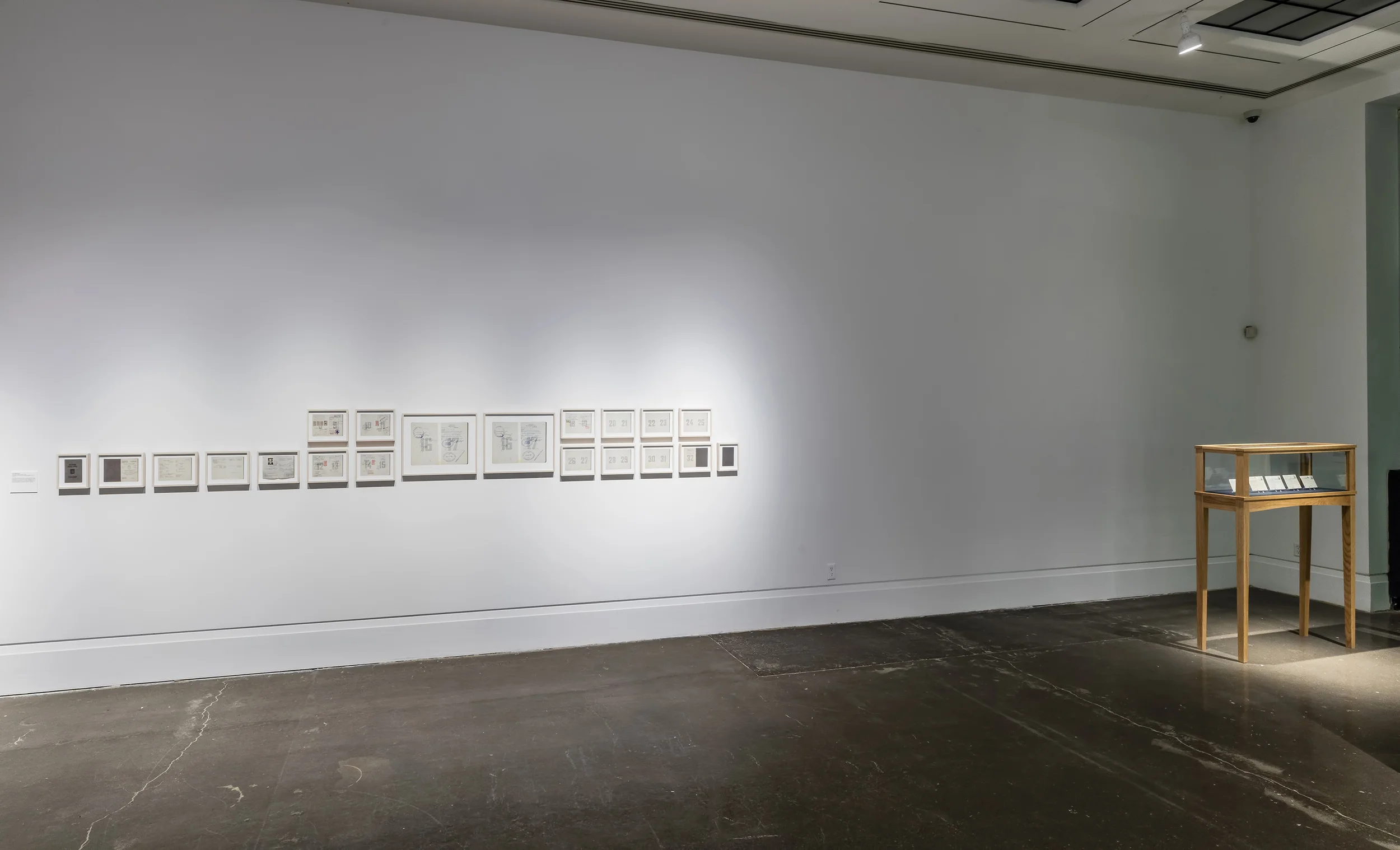 Canadian Belonging(s) Art Gallery of Mississauga May 5 - July 3, 2016