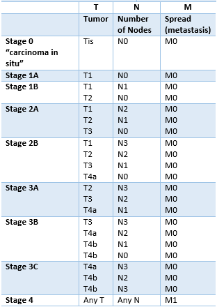 Table 2. Information about TNM are combined and the patient is given a final stage. The patient can have any of the above combinations.