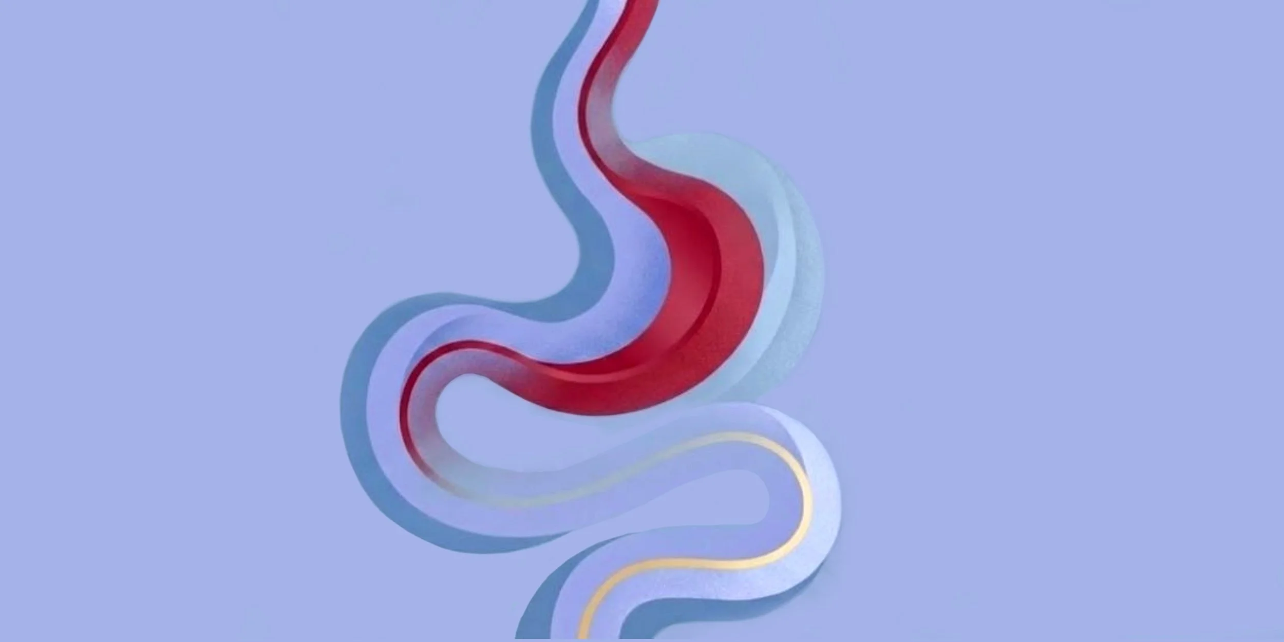 My Gut Feeling Conference Banner (1).jpg