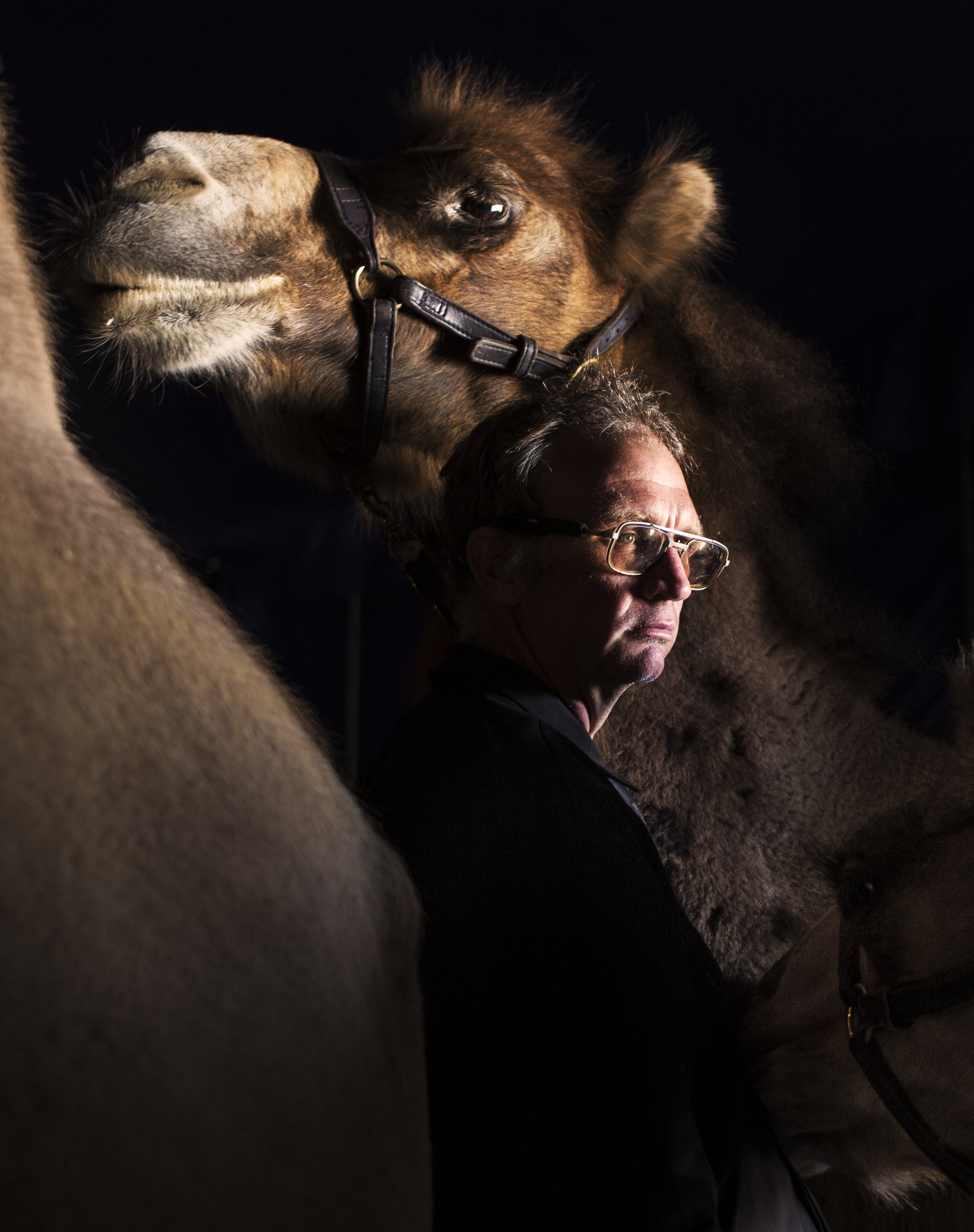 Adam Baker, an animal care taker for Coronas of Hollywood, a Florida circus performing at The Great New York State Fair in Syracuse, N.Y., tends to a group of Bactrian camels before for their performance on Sept. 2, 2017.
