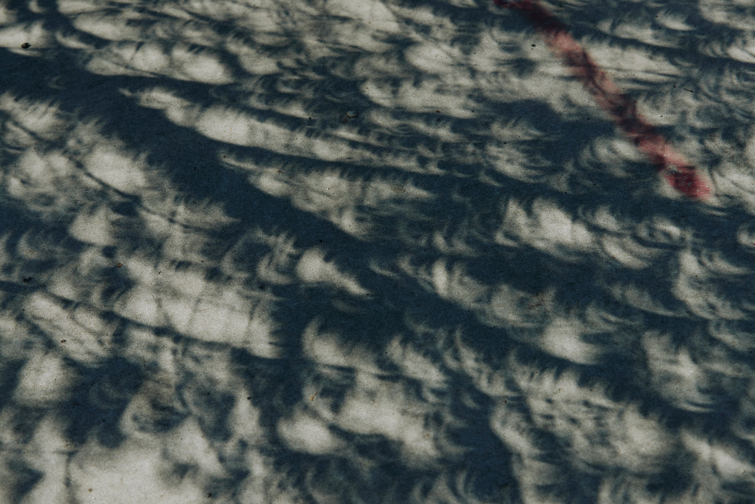  Shadows of a tree during the Lunar Eclipse at 2:07pm in Chicago, I.L. on April 8, 2024.  
