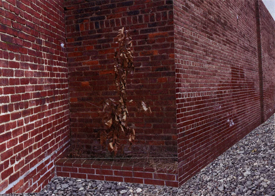 Brick 4, 2016