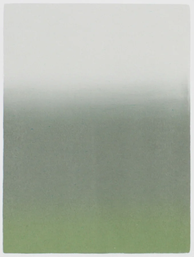 Potomac Print 4-9