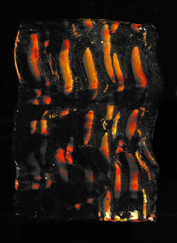  WHEN FIRE WAS NEW, sawdust clay, pen ink, hydro dip, on scanner bed, 30” x 40”, 2021 
