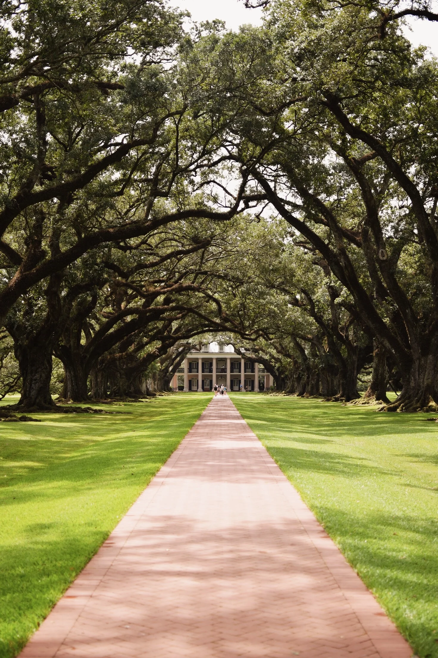 oak alley