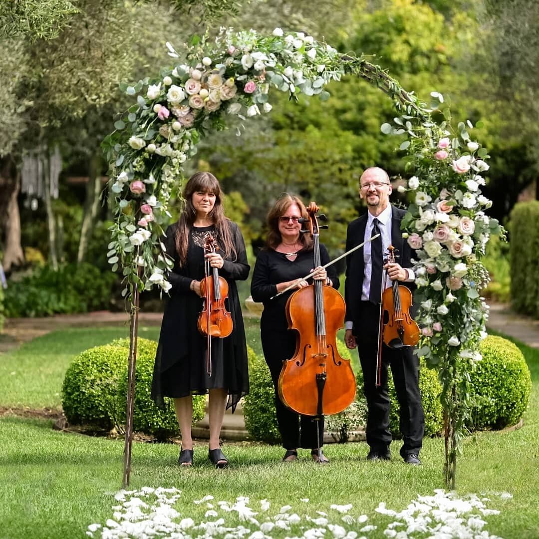 Another beautiful wedding! This time we performed at Allied Arts Guild Gardens for a wonderful couple. ❤❤ What a wonderful settingfor a celebration! Next we are performing in Santa Rosa. Let's hope the weather will be as nice as past couple of days.?