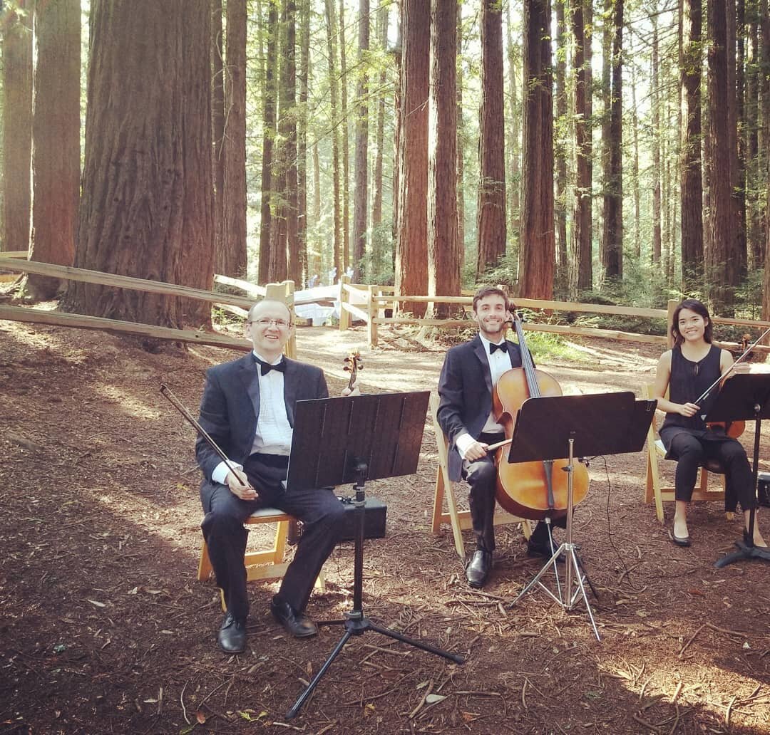 Another beautiful, beautiful wedding played!💝💝 Great location, in Oakland hills. Look at these giant trees!!! Amazing! 
@triomaxim #weddingtrio #bridalmusic #weddingmarch #napawedding #pachelbel #lovesongl #SFwedding #bestwedding #oaklandwedding #t