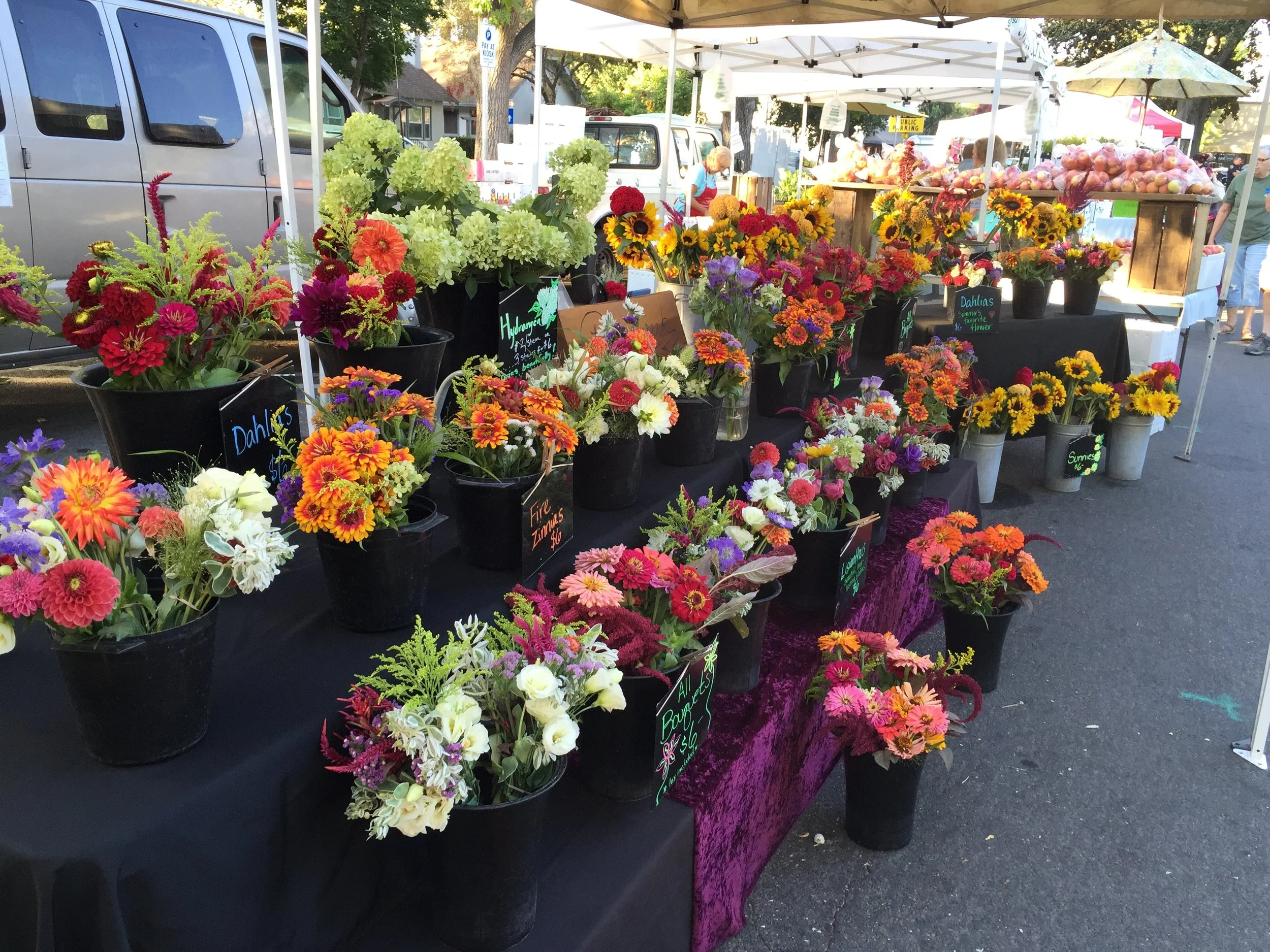 From lush anemones and ranunculus in the spring, to dazzling sunflowers and dahlias in the summer, we look forward to the different shapes, colors and textures that each season brings. 