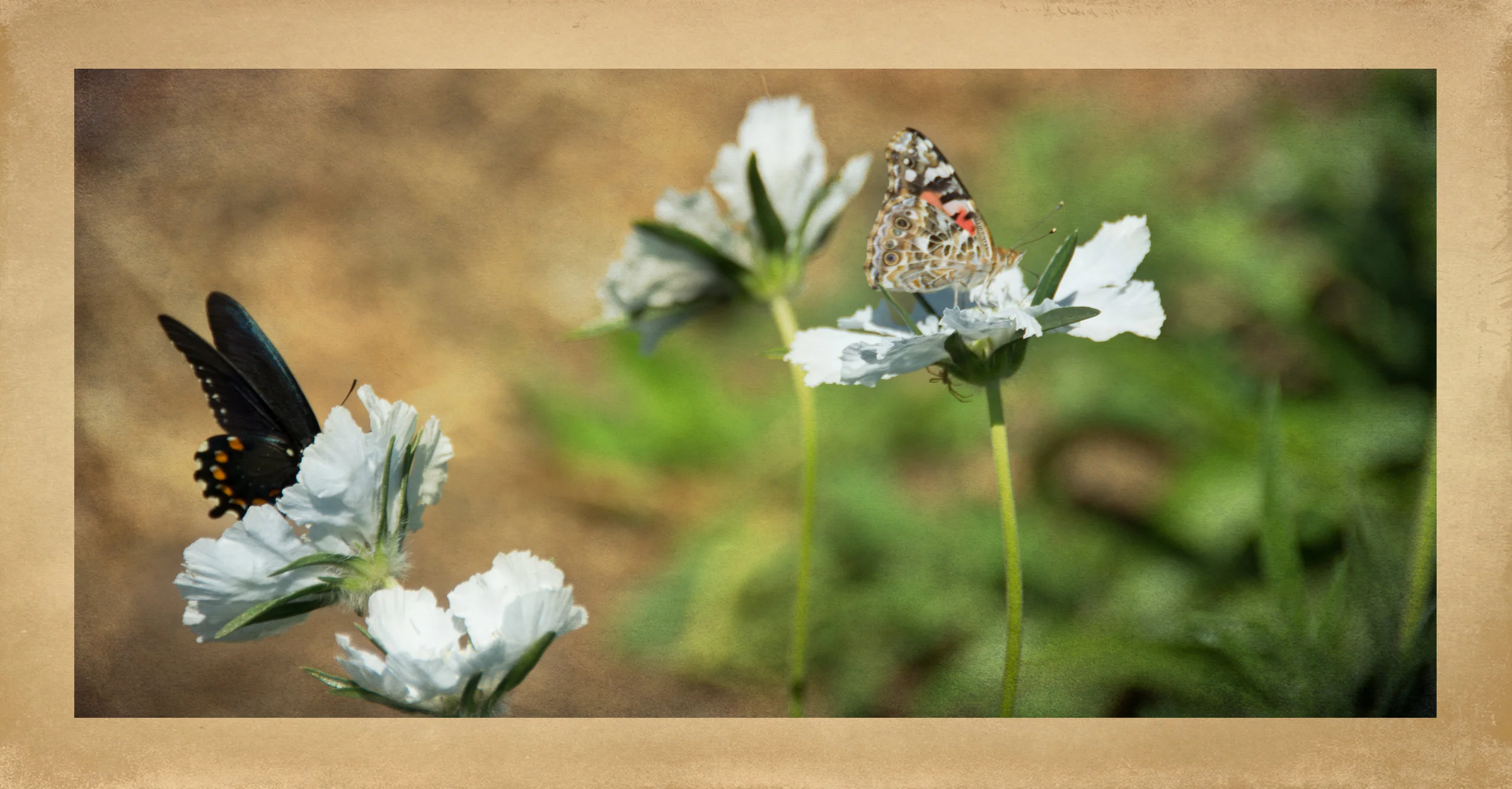 DSC_7680-Edit.jpg