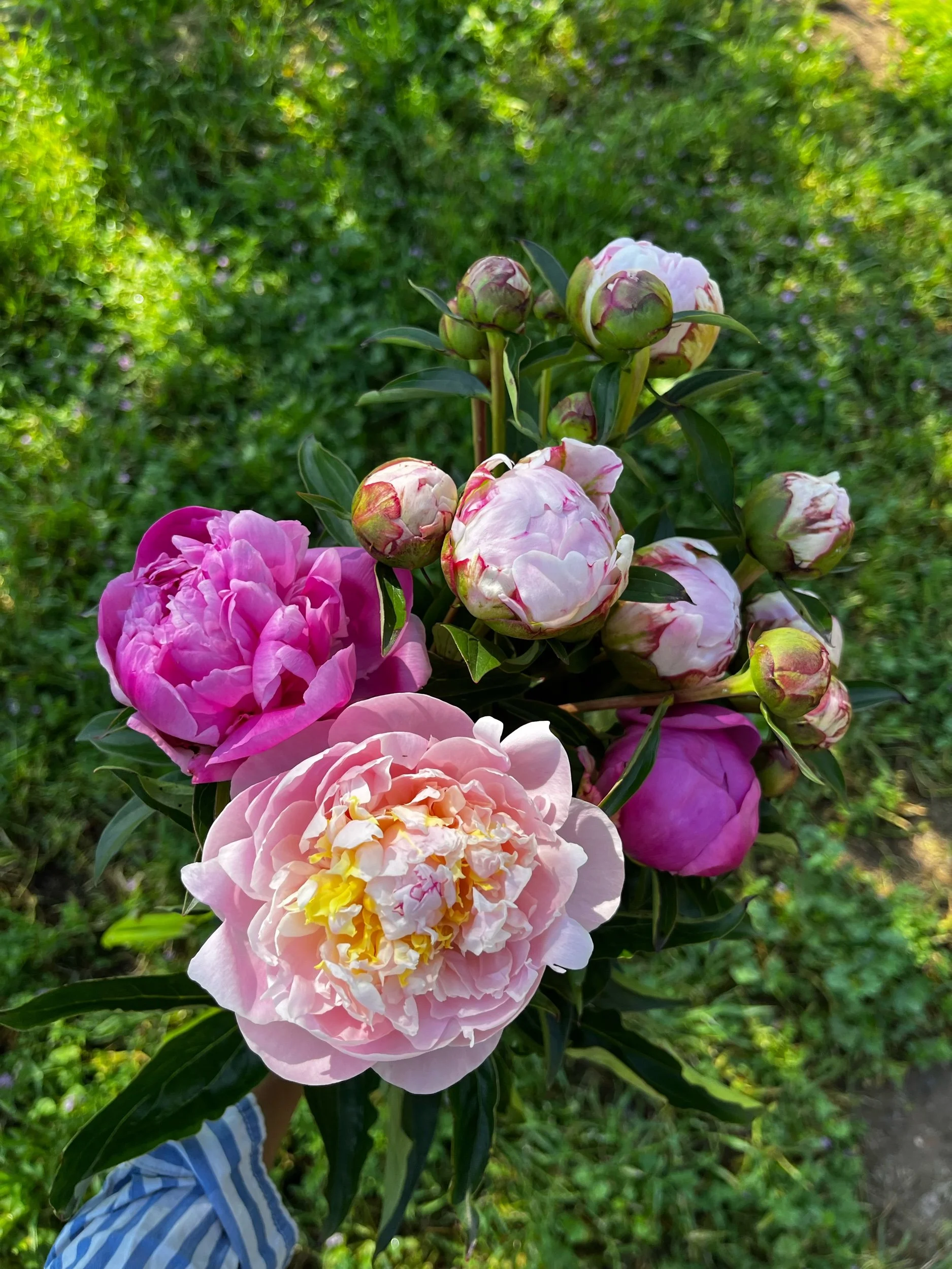 E99F08D4-D87E-437C-B54C-CB61D1F9A85E