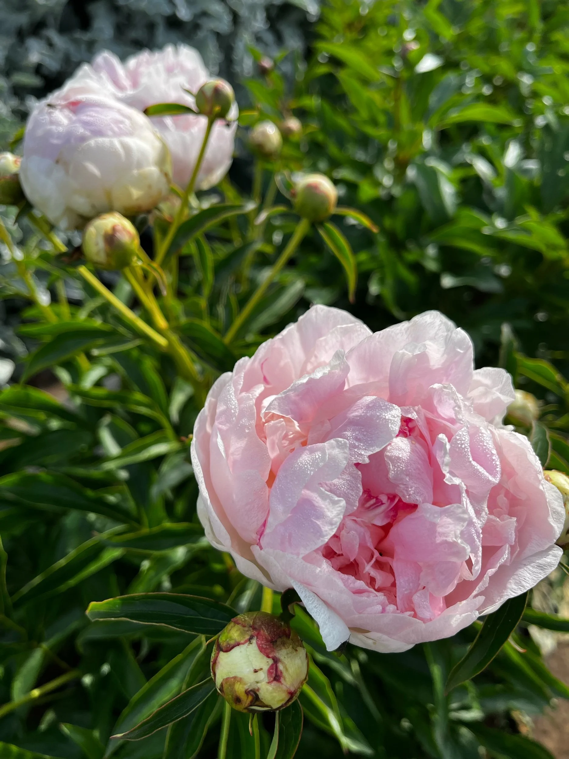 4FC088C9-773F-4696-AB40-DF624E26B5DB