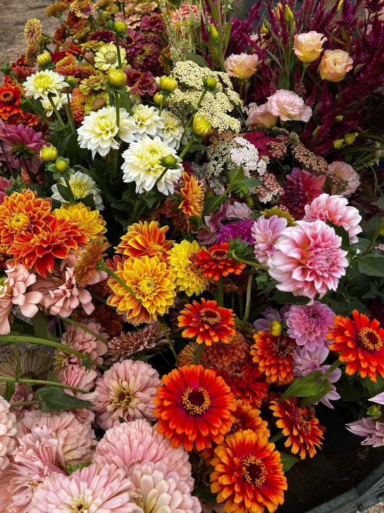 Summer Flowers CSA Subscription — Pine Creek Flowers