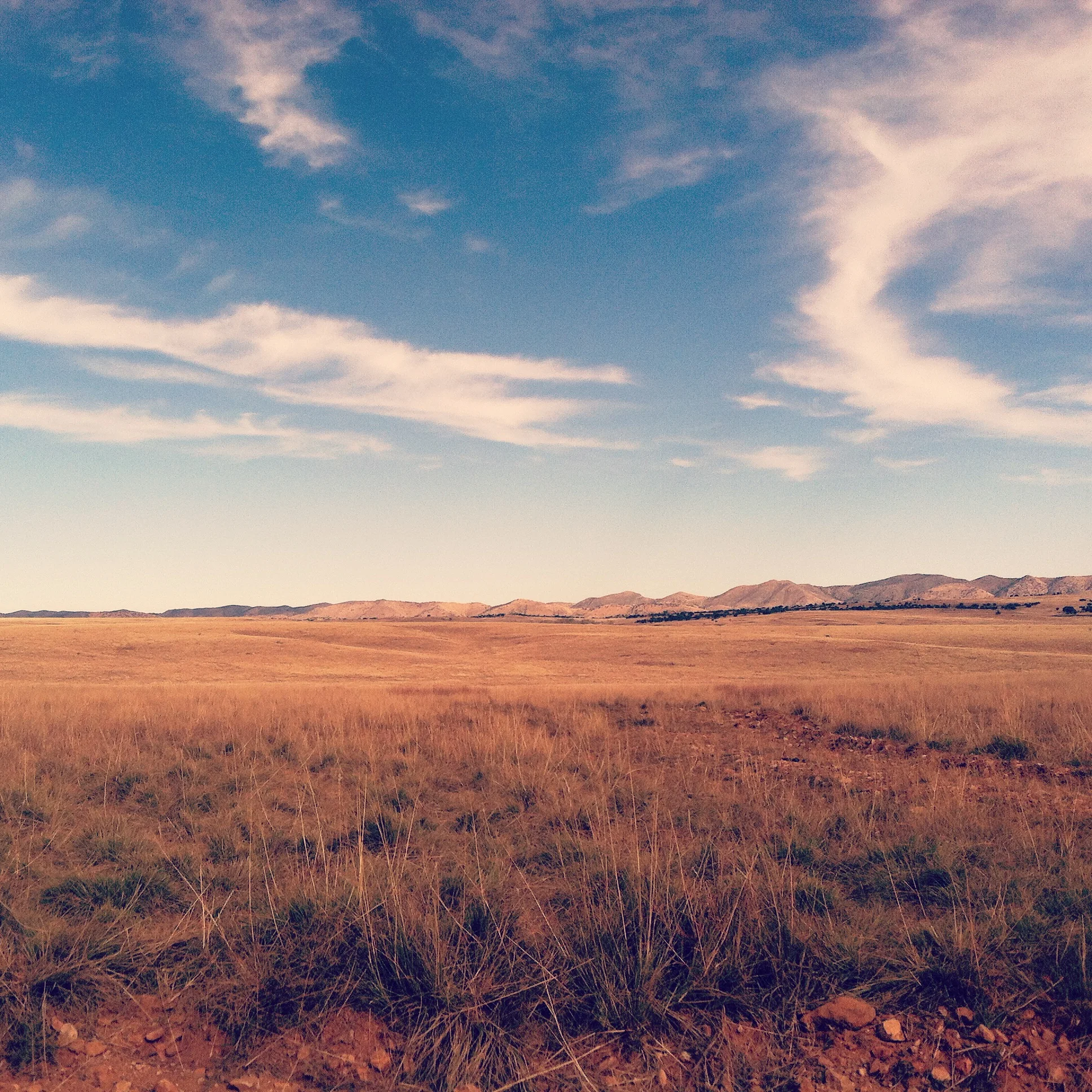 Patagonia, Arizona  A place where one feels at peace and stress free. &nbsp;The nature just takes over your being 