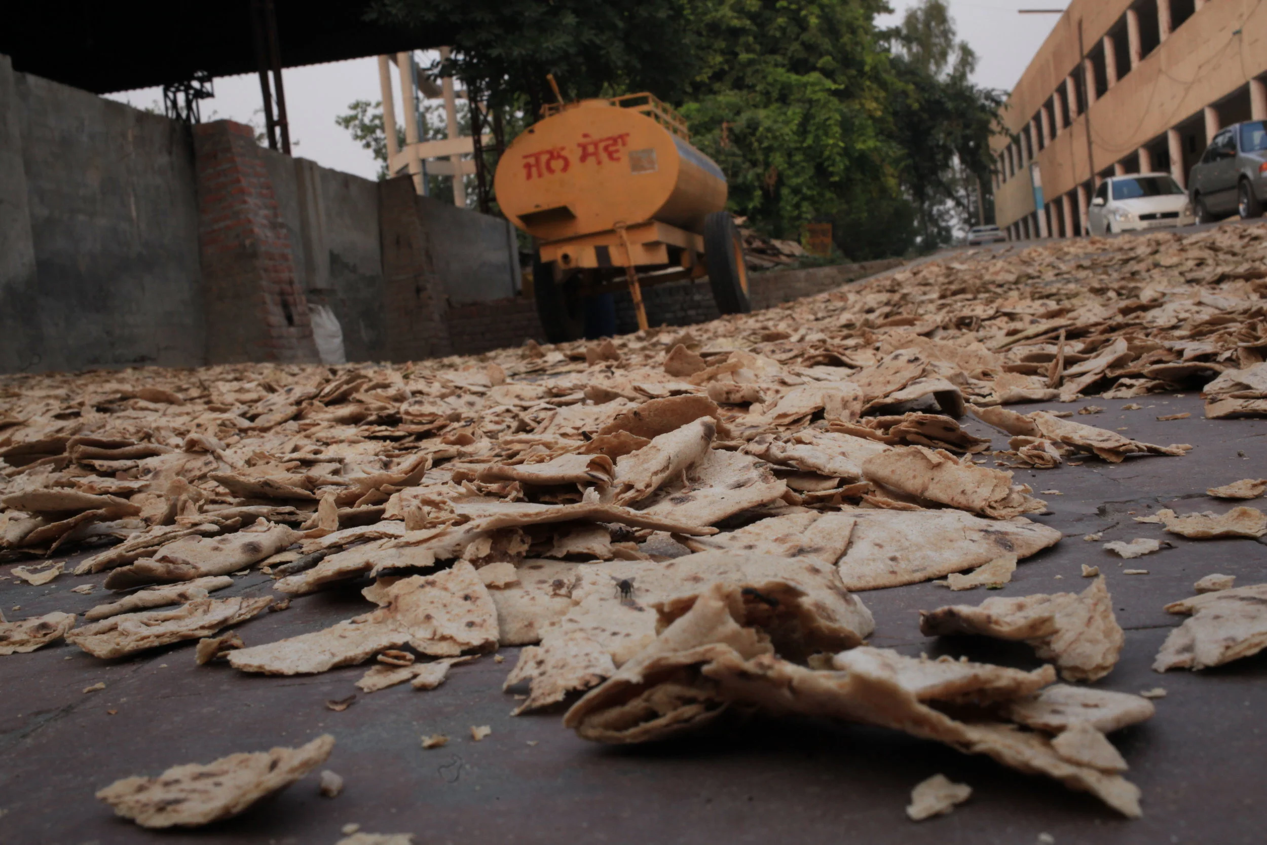 Another American Writes About His Trip to India