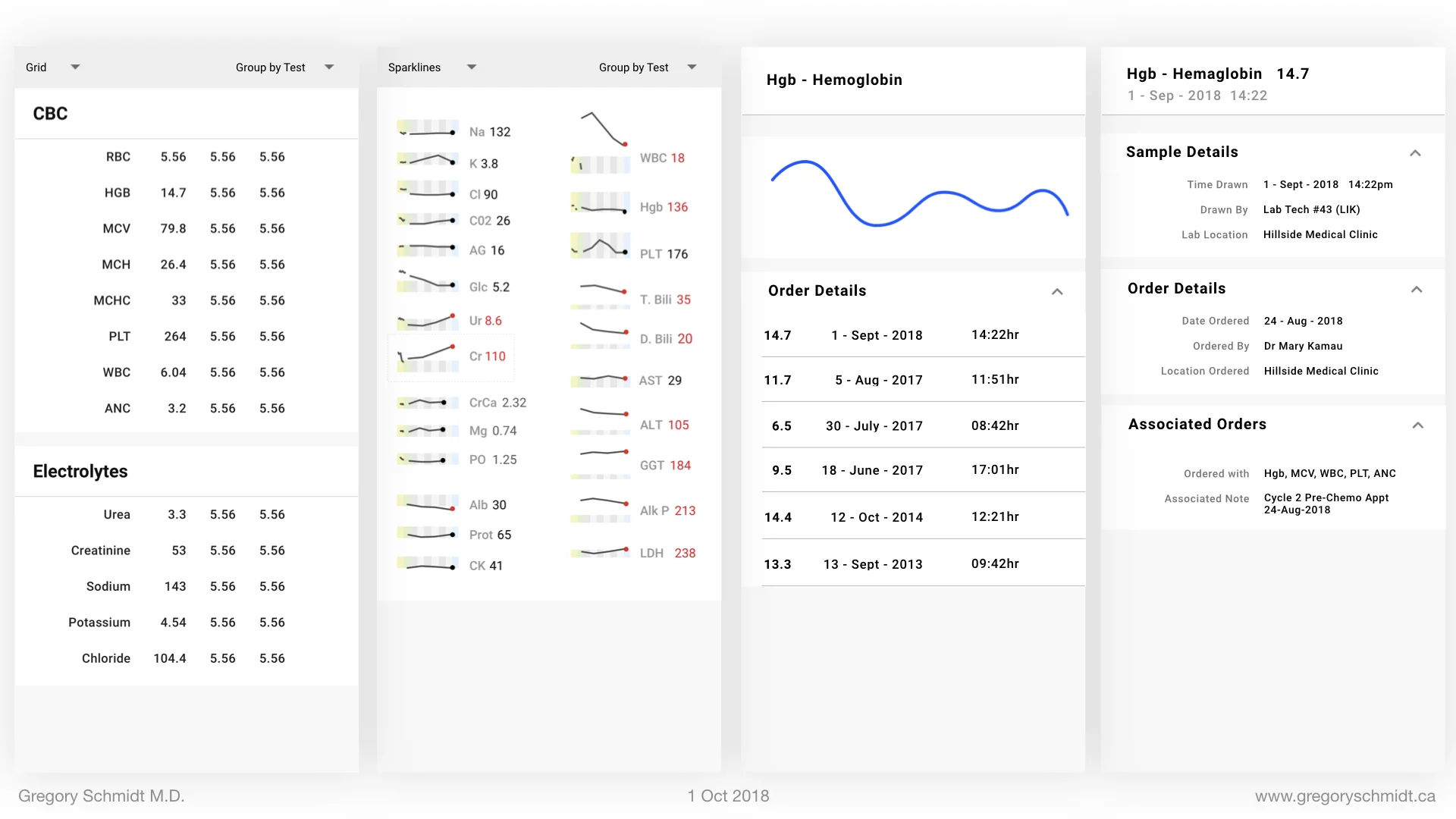 Electronic Medical Record Interface Panel Ideas