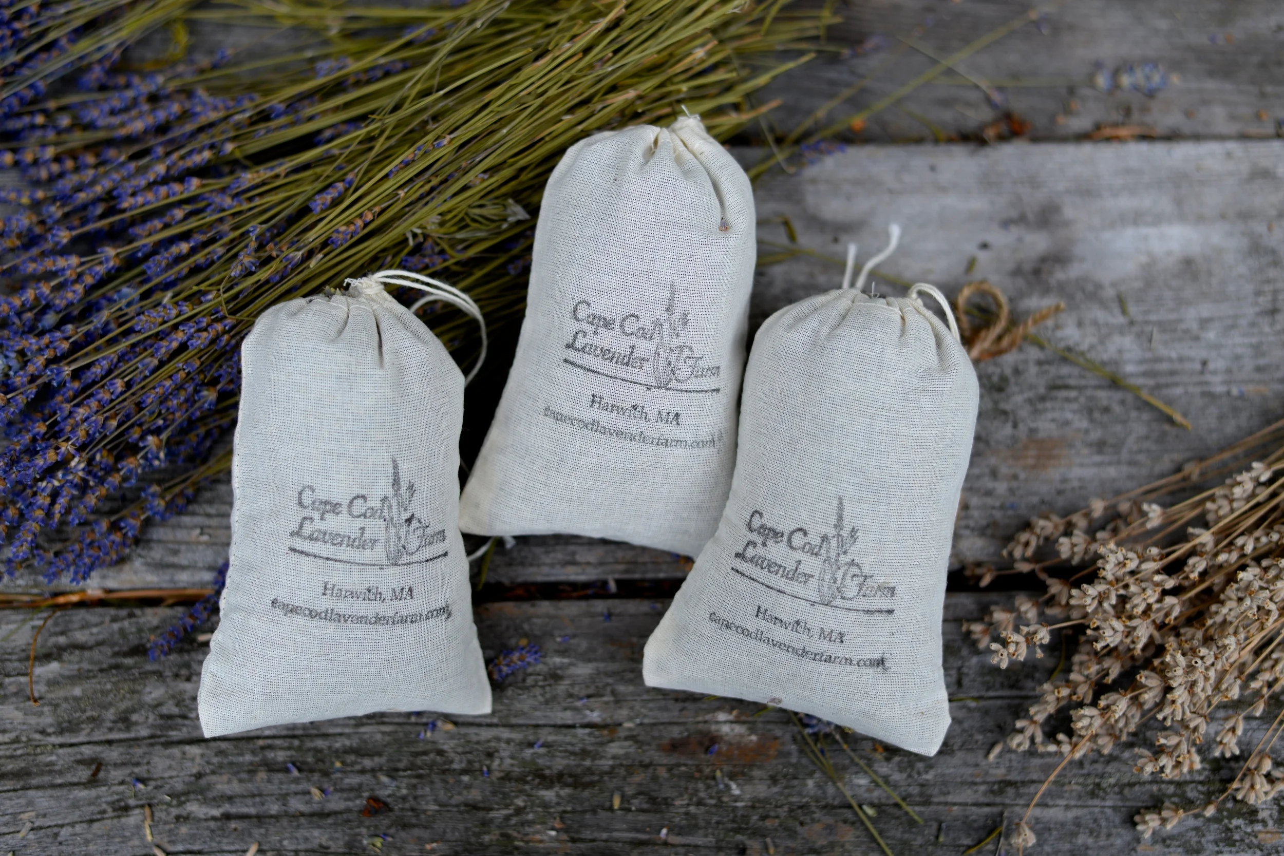  Cape Cod Lavender Farm | Cape Cod, MA 