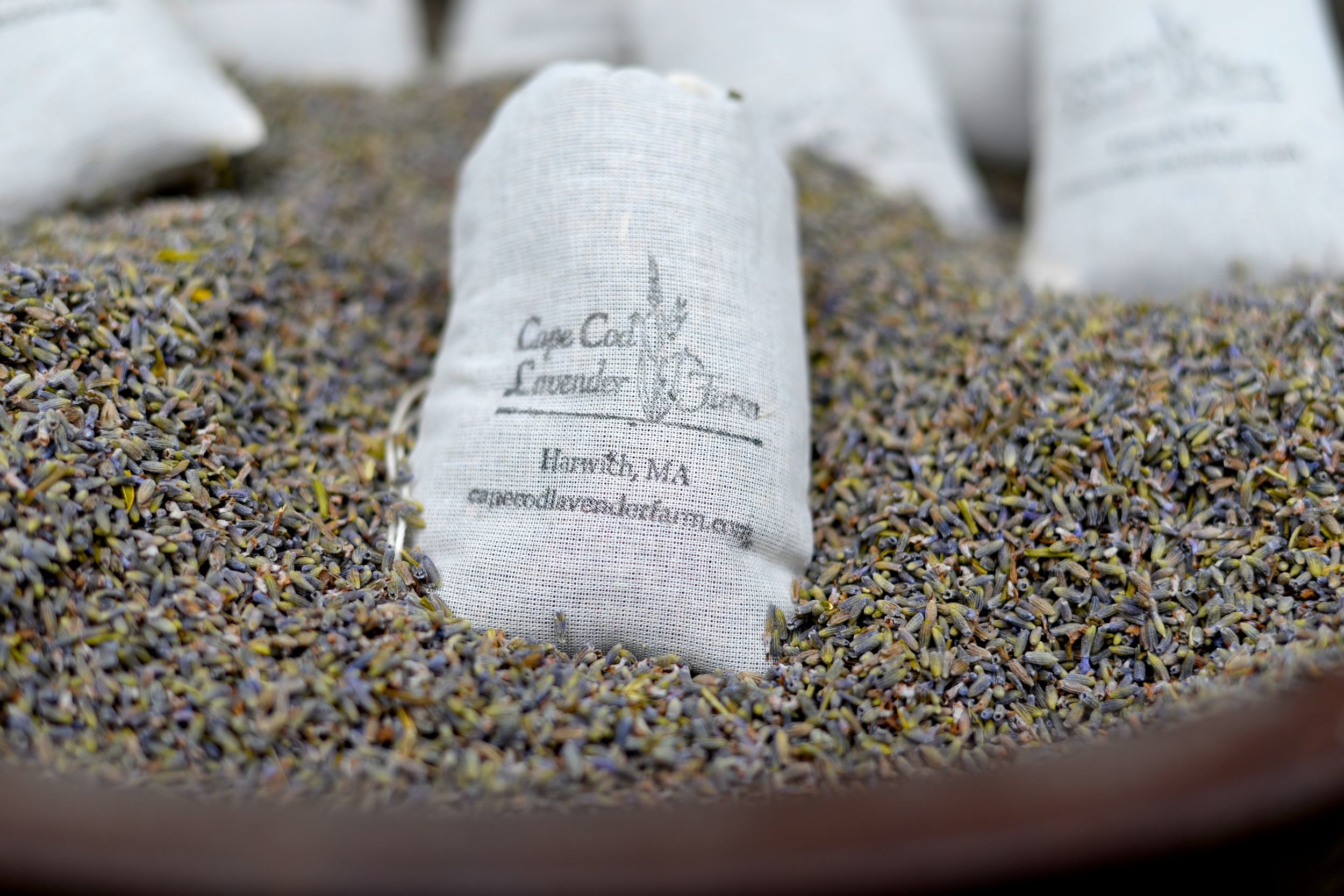  Cape Cod Lavender Farm | Cape Cod, MA 