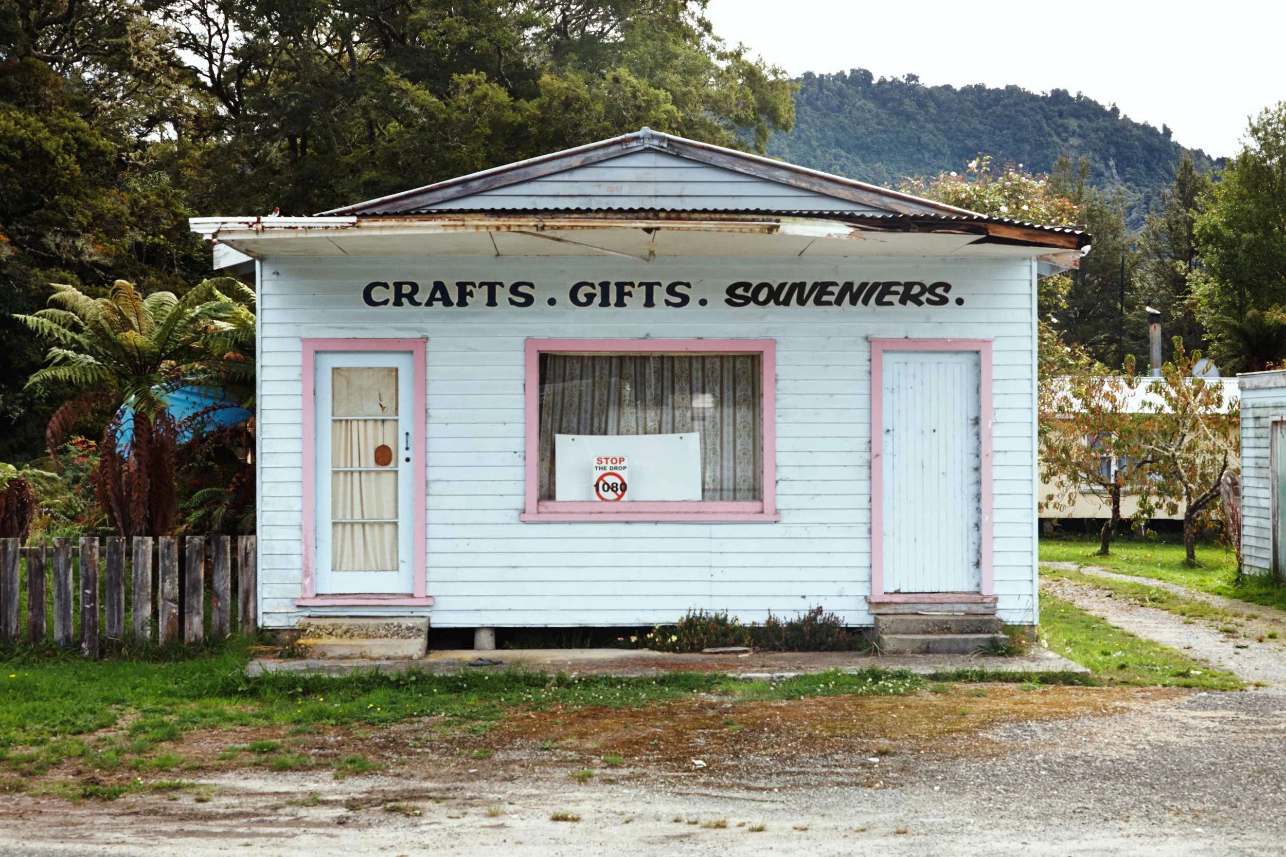 NZ11_5D_0498.jpg