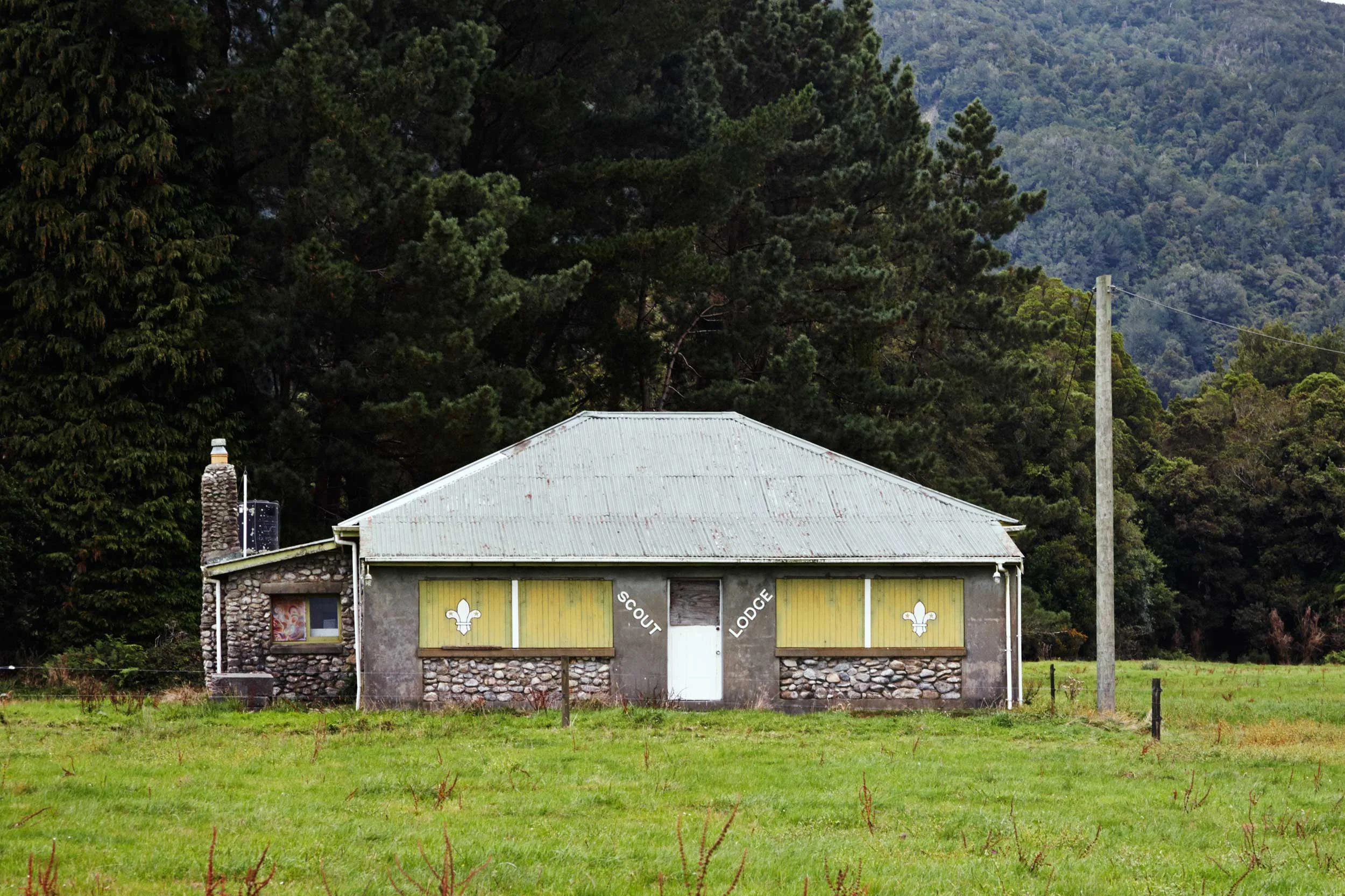 NZ11_5D_0504.jpg