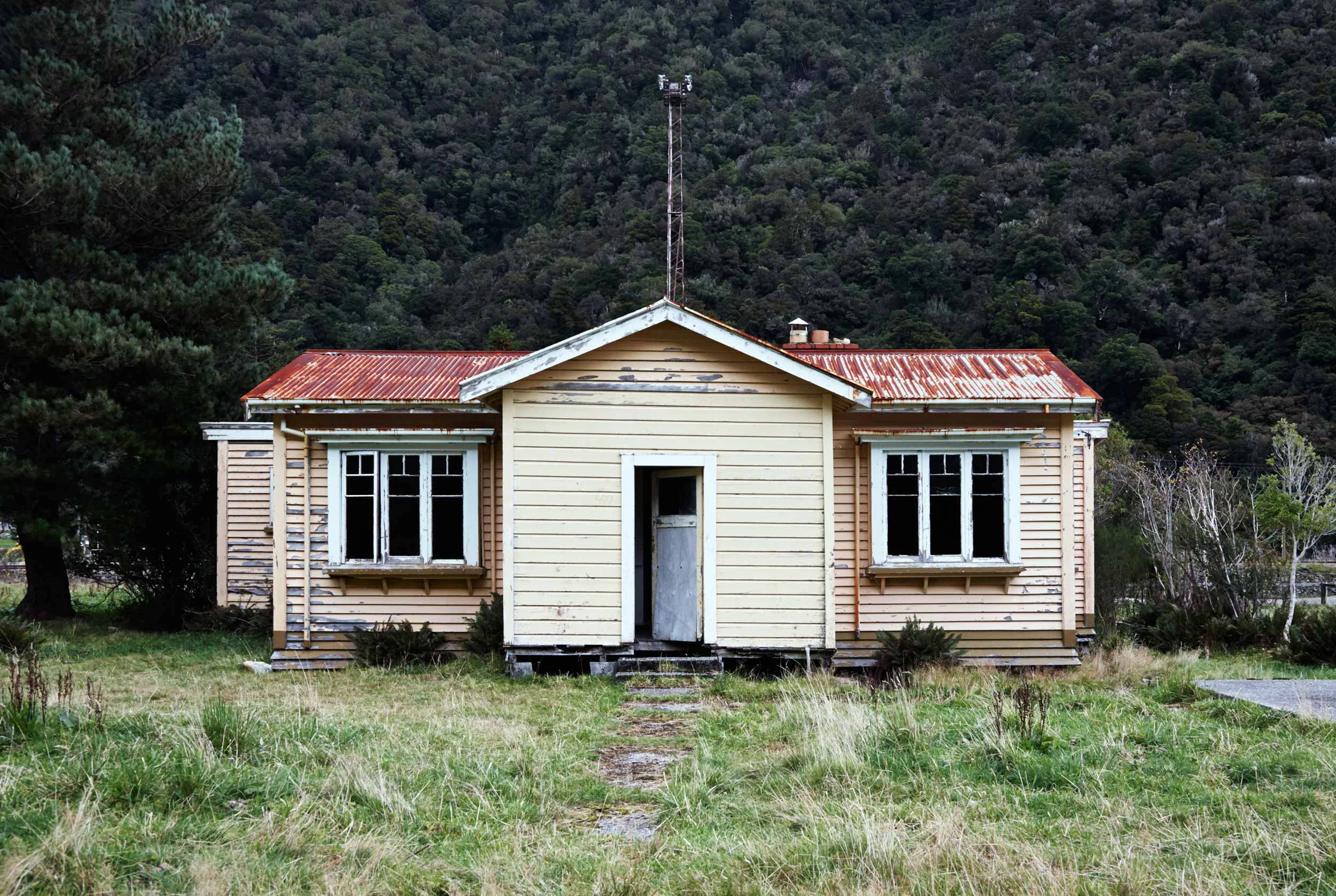 NZ11_5D_1217.jpg