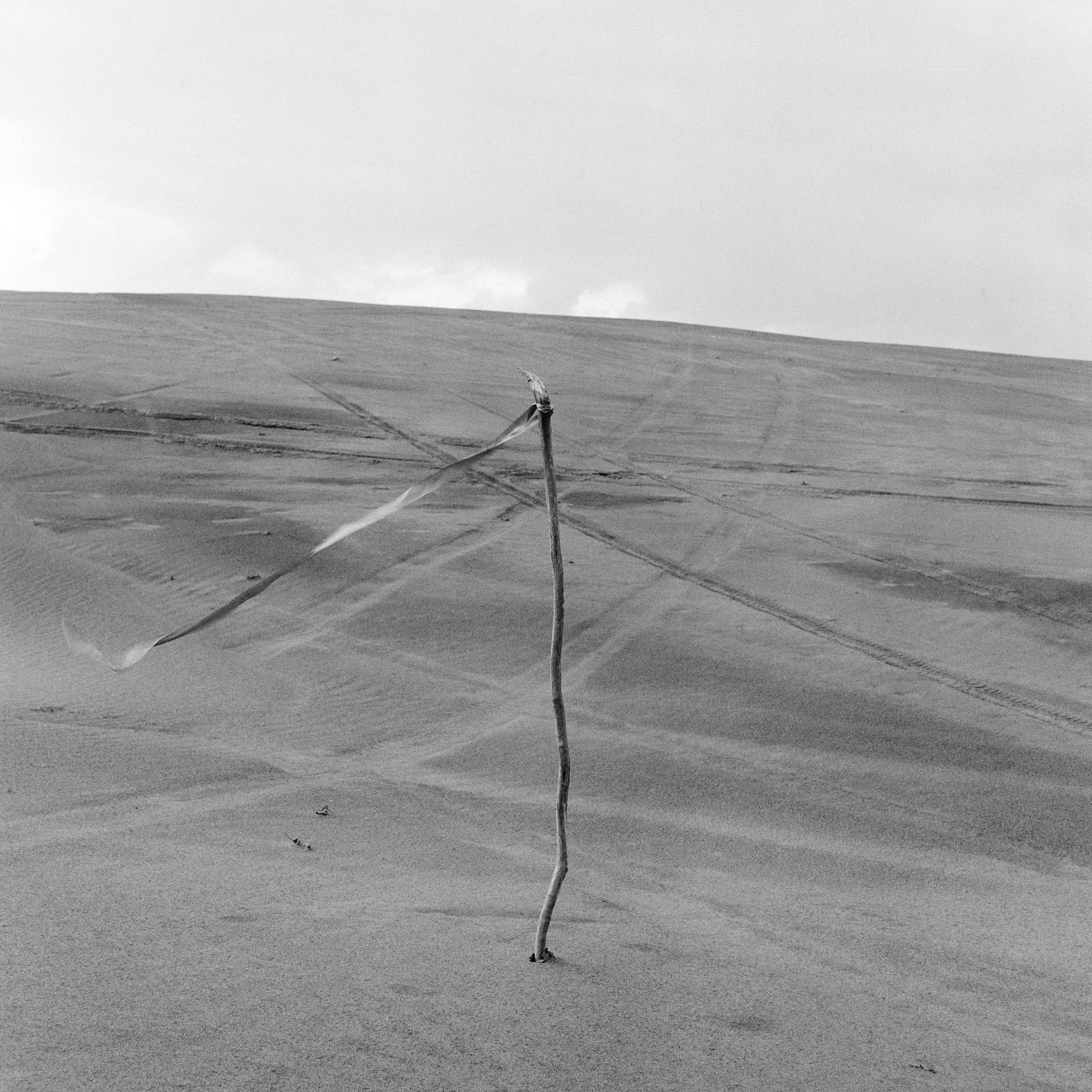 JamieBoweringTIFFS0980--0007_### copy 2.jpg