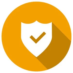 Cyber Security Evaluation