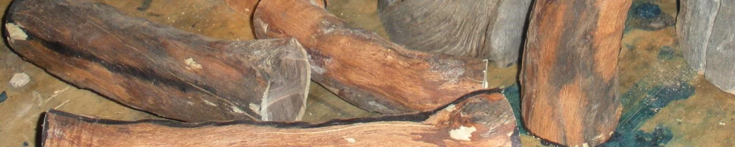 banner.JPG